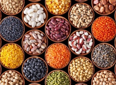 Seeds